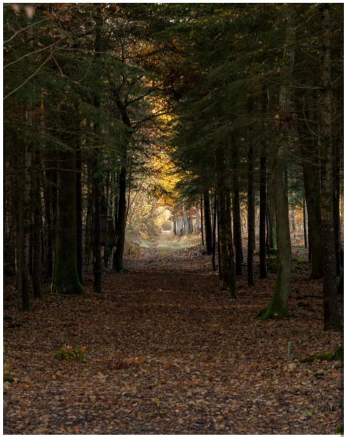 Les Chatelliers Bouzy-la-Foret Екстер'єр фото