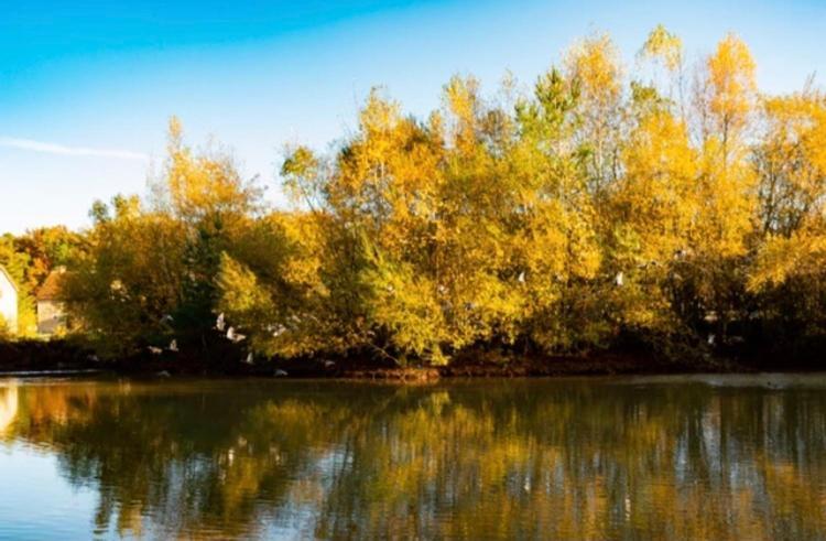 Les Chatelliers Bouzy-la-Foret Екстер'єр фото