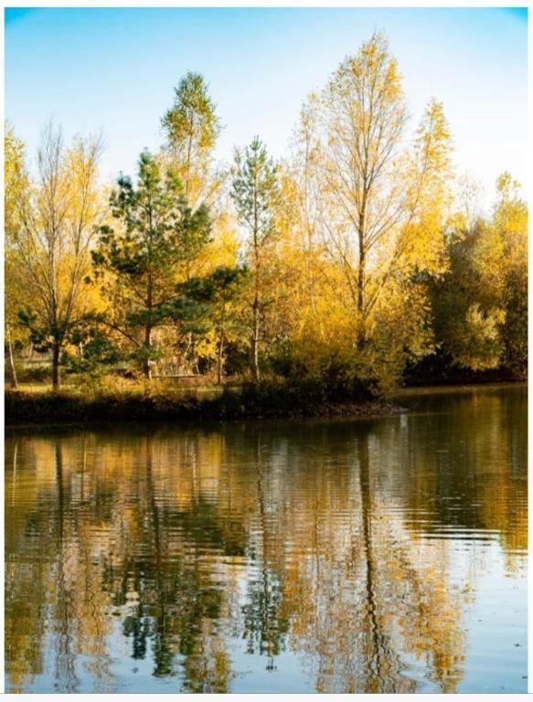 Les Chatelliers Bouzy-la-Foret Екстер'єр фото